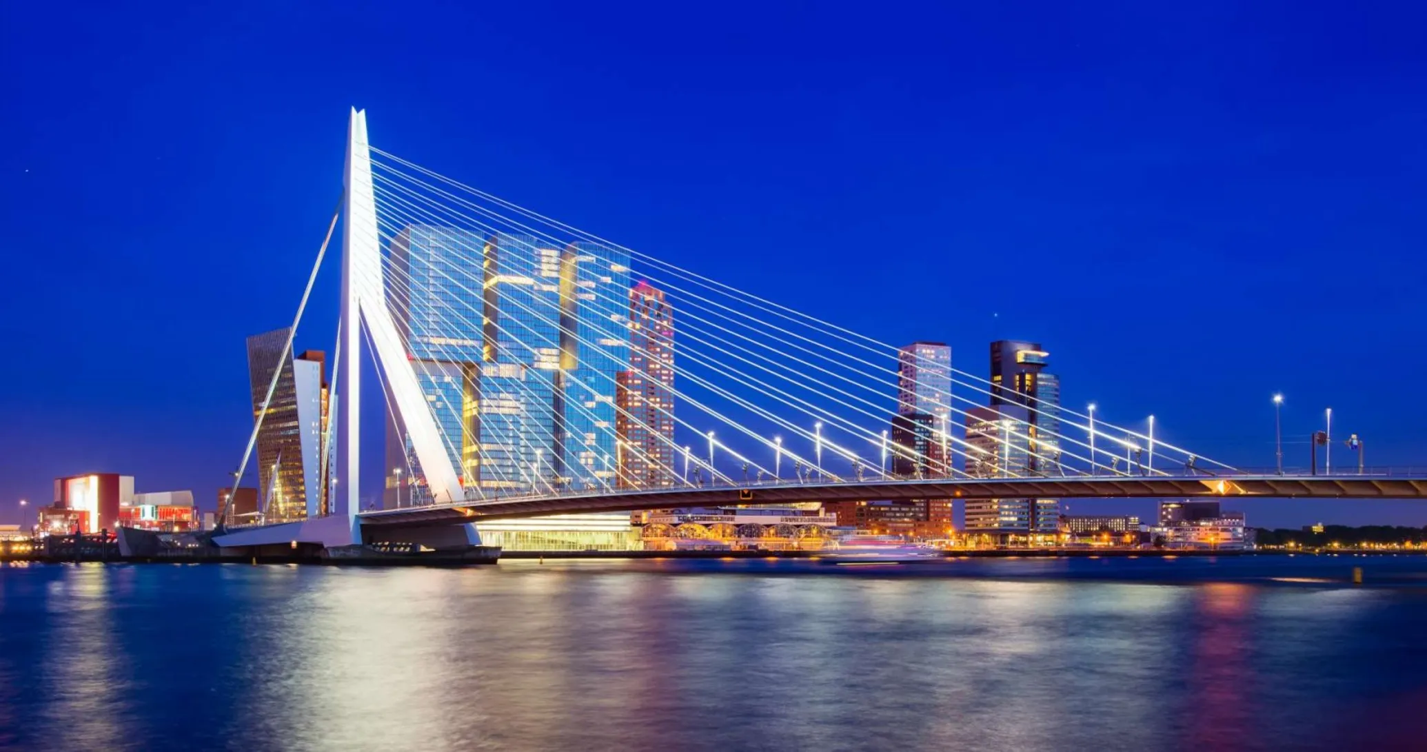 Rotterdam Skyline